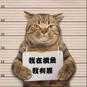 狂炫语法糖的个人资料头像