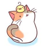 啦啦啦q7头像