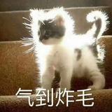 湖边跃跃鱼头像