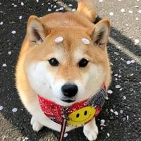 越远的回忆越容易想起头像