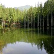 weihuawei的个人资料头像