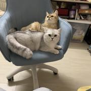 erwoooow的个人资料头像