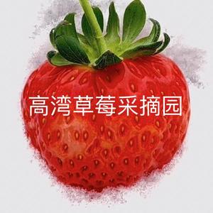 高湾草莓小番茄采摘园头像