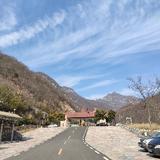 宁静致远F2028Y头像