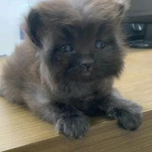 聪明旭日wMn2WH6头像