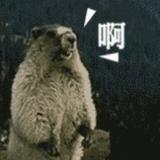 励志做一个文明的喷子头像