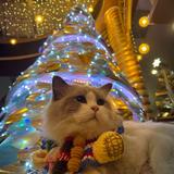 用户2143974480352头像