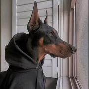 AiHxx的个人资料头像