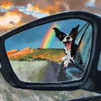 足智多谋柑桔Nyc头像