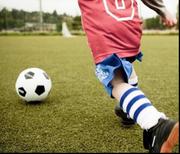 Wawu的个人资料头像