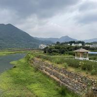 比目鱼的啦头像