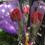 四爷CC的个人资料头像