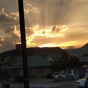 大岛哥6头像