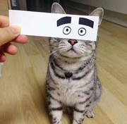 尤晓柒o的个人资料头像