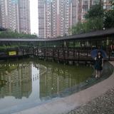 真诚93921头像