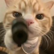 油饼食补的个人资料头像