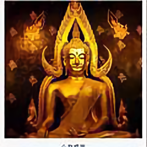 TigerPang105头像