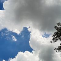 清醒即神明头像