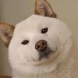 WangHHH丶头像
