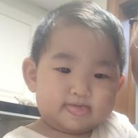 本田车主罗全震头像