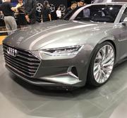 兔砸的个人资料头像