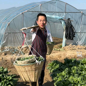 二伟生活头像