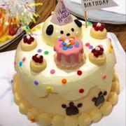 chicken7man的个人资料头像