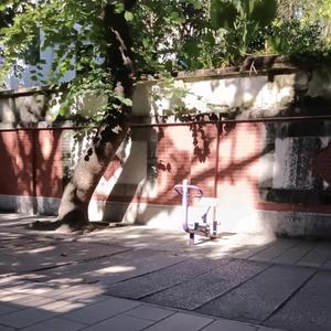 如若至头像