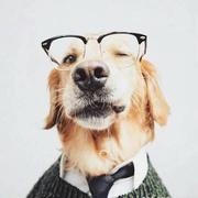 煦岚的个人资料头像