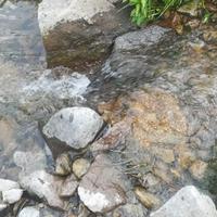 言1论2自3由头像