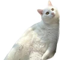 用户6199788131661头像