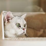 air222的个人资料头像