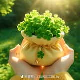 幸运清泉lsm头像