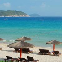 随性自由的风铃7I头像