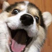 jackson687的个人资料头像