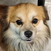 fishspring的个人资料头像