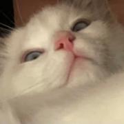 累了215的个人资料头像