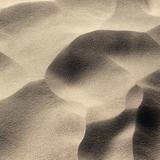 认真山楂7F6头像