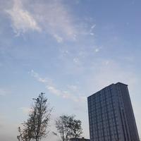 五楼665头像