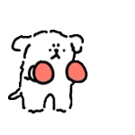 柯度的个人资料头像