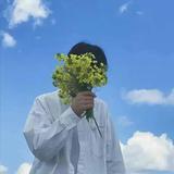 又买了个虎子头像