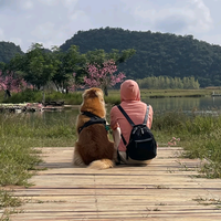 春暖花开162593330头像