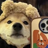 积极的生活家zO头像