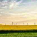 tx的个人资料头像