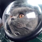 Atree989的个人资料头像