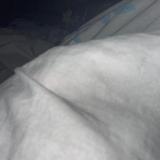 潇洒叶子P8P头像