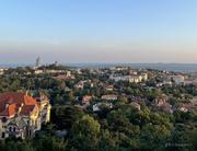 说来也是的个人资料头像