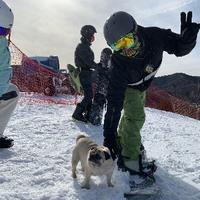 机甲红兵325头像