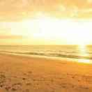 yaya的个人资料头像