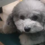 serendipity77377头像